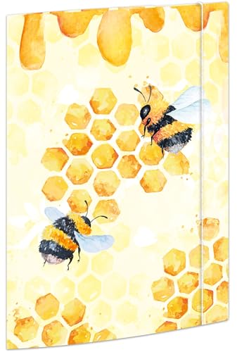 RNKVERLAG 46336 - Sammelmappe Honey 240 x 330 mm, 3 Stück, Dokumentenmappe für DIN A4, mit Gummizugverschluss von RNKVERLAG