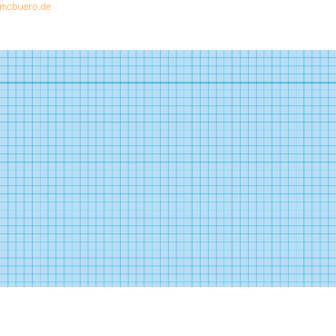 RNK Karteikarten A5 kariert 170 g/qm blau VE=100 Stück von RNK