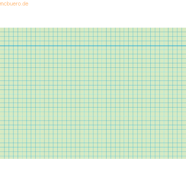 RNK Karteikarten A5 kariert 170 g/qm blau VE=100 Stück von RNK