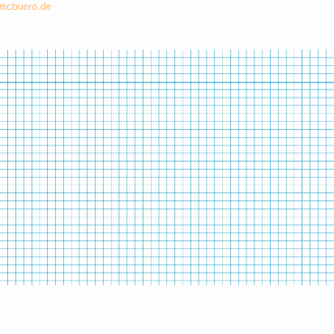 RNK Karteikarten A8 kariert weiß VE=100 Stück von RNK