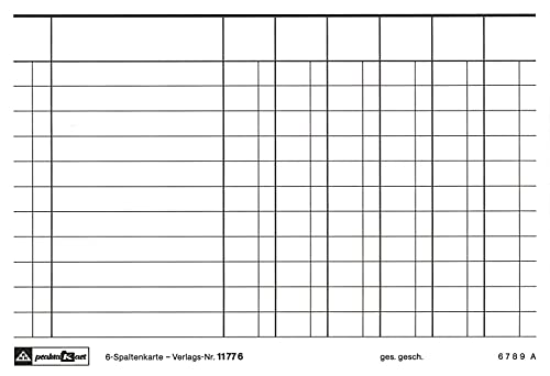 RNKVERLAG 117760 - 6-Spaltenkarte, 100 Karten, DIN A6 quer, weiß von RNKVERLAG