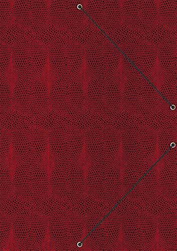 RNKVERLAG 46211 - Elegante Dokumentenmappe „Style Sunrise Red“, für DIN A4, 1 Stück RNKVERLAG 46211 - Elegante Dokumentenmappe „Style Sunrise Red“, für DIN A4, 1 Stück von RNKVERLAG