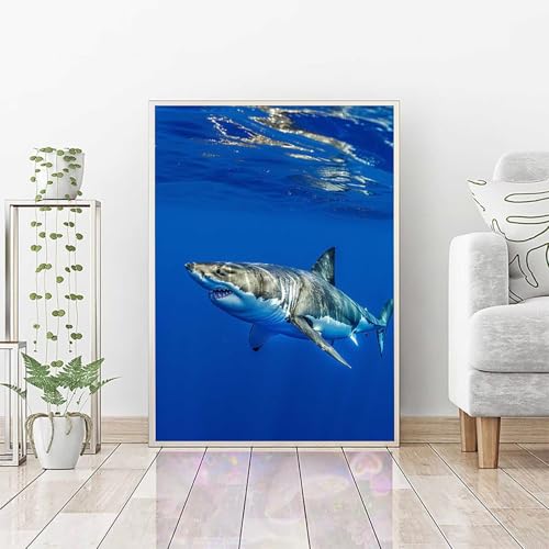 Diamond Painting Erwachsene Fisch, DIY Diamond Painting Hai Bastelset, Vollbohrer Diamant Malerei Set, Diamant Kunst Malerei Stickerei Set, Wanddeko und Zimmer Deko, Geschenke 50 x 70 cm PJY4 I-I Diamond Painting Erwachsene Fisch, DIY Diamond Painting Hai Bastelset, Vollbohrer Diamant Malerei Set, Diamant Kunst Malerei Stickerei Set, Wanddeko und Zimmer Deko, Geschenke 50 x 70 cm PJY4 I-I von RNXAOPEN