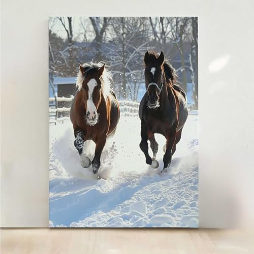 Diamond Painting Erwachsene Pferd Diamant Painting Bilder Tier 5D DIY Mosaikherstellung Basteln Erwachsene Anfänger Set für Heim Schlafzimmer Deko Wohnzimmer, Geschenke für Frauen 50x65CM PjY5646 N-8 Diamond Painting Erwachsene Pferd Diamant Painting Bilder Tier 5D DIY Mosaikherstellung Basteln Erwachsene Anfänger Set für Heim Schlafzimmer Deko Wohnzimmer, Geschenke für Frauen 50x65CM PjY5646 N-8 von RNXAOPEN