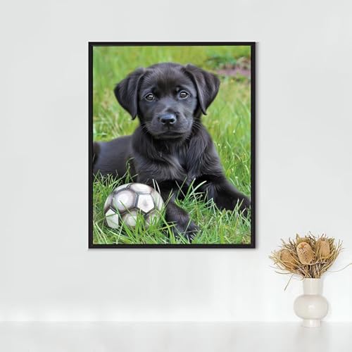 Diamond Painting Erwachsene Tier Diamond Painting Hengst DIY Vollbohrer Diamant Malerei Set Anfänger, Diamant Kunst Malerei Stickerei Set, Wanddeko und Zimmer Deko, Geschenke 90x120cm PJY9 8-7 von RNXAOPEN