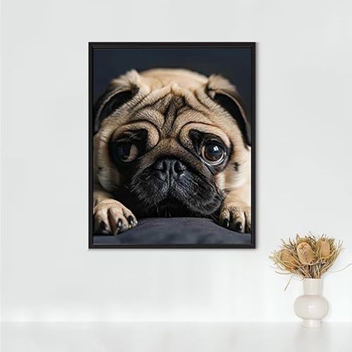 Diamond Painting Erwachsene Tier Diamond Painting Mops DIY Vollbohrer Diamant Malerei Set Anfänger, Diamant Kunst Malerei Stickerei Set, Wanddeko und Zimmer Deko, Geschenke 50 x 70 cm PJY4 F-5 Diamond Painting Erwachsene Tier Diamond Painting Mops DIY Vollbohrer Diamant Malerei Set Anfänger, Diamant Kunst Malerei Stickerei Set, Wanddeko und Zimmer Deko, Geschenke 50 x 70 cm PJY4 F-5 von RNXAOPEN