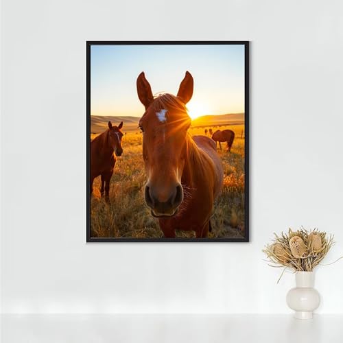 Diamond Painting Erwachsene Tier Diamond Painting Pferd DIY Vollbohrer Diamant Malerei Set Anfänger, Diamant Kunst Malerei Stickerei Set, Wanddeko und Zimmer Deko, Geschenke (50x70cm) PJY9 V-X von RNXAOPEN