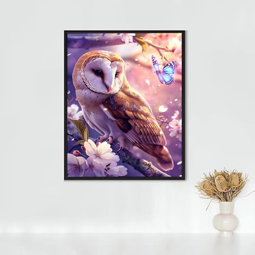 Diamond Painting Erwachsene VöGel Diamond Painting Eule DIY Vollbohrer Diamant Malerei Set Anfänger, Diamant Kunst Malerei Stickerei Set, Wanddeko und Zimmer Deko, Geschenke 30 x 40 cm PJY2 8-7 von RNXAOPEN