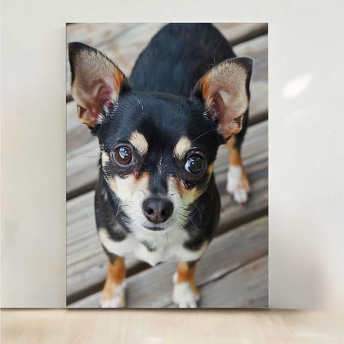 Hund Diamond Painting, 5D Tier Diamond Painting Erwachsene Diamant Malerei DIY Steine Kristall Kunst Bastelnset Erwachsene Anfänger Set, zur Zimmer Wanddeko, Geschenke für Frauen 60x80CM PjY8441 5-N Hund Diamond Painting, 5D Tier Diamond Painting Erwachsene Diamant Malerei DIY Steine Kristall Kunst Bastelnset Erwachsene Anfänger Set, zur Zimmer Wanddeko, Geschenke für Frauen 60x80CM PjY8441 5-N von RNXAOPEN