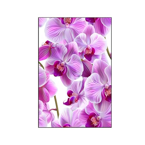 Malen Nach Zahlen Erwachsene Blumen Malen Nach Zahlen, Paint by Numbers Orchidee Bastelset Erwachsene Frauen mit Pinseln und Acrylfarben für Deko Wohnzimmer Schlafzimmer, Geschenke 40x50cm 6-7 Malen Nach Zahlen Erwachsene Blumen Malen Nach Zahlen, Paint by Numbers Orchidee Bastelset Erwachsene Frauen mit Pinseln und Acrylfarben für Deko Wohnzimmer Schlafzimmer, Geschenke 40x50cm 6-7 von RNXAOPEN