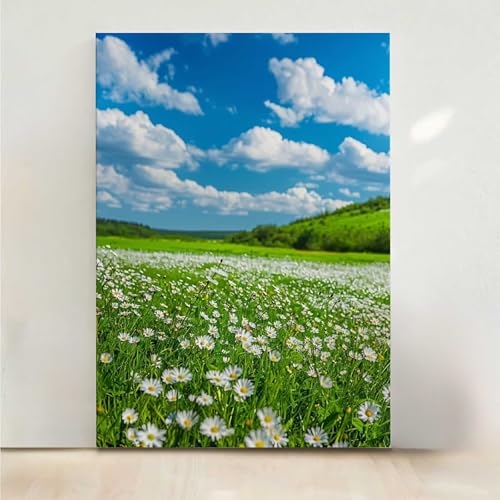 RNXAOPEN Diamond Painting Erwachsene Blume Diamant Painting Bilder Blumen 5D DIY Mosaikherstellung Basteln Erwachsene Anfänger Set für Heim Schlafzimmer Deko Wohnzimmer, Geschenke 40x50cm PjY1076 6-Z RNXAOPEN Diamond Painting Erwachsene Blume Diamant Painting Bilder Blumen 5D DIY Mosaikherstellung Basteln Erwachsene Anfänger Set für Heim Schlafzimmer Deko Wohnzimmer, Geschenke 40x50cm PjY1076 6-Z von RNXAOPEN