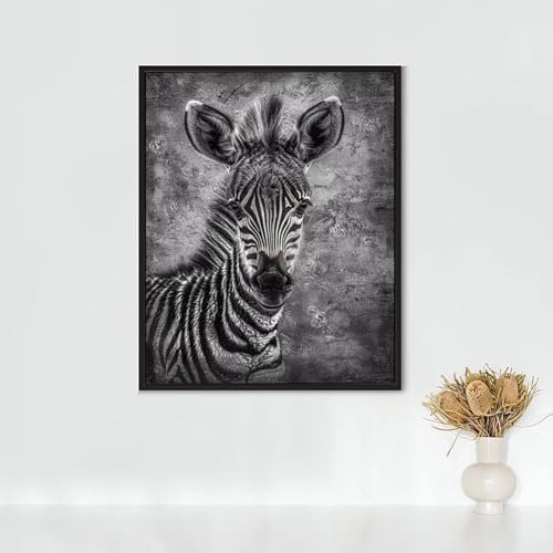RNXAOPEN Diamond Painting Tier, Diamond Painting Erwachsene Zebra Bastelset, DIY Diamant Malerei Runder Vollbohrer Diamanten Kinder Malerei Stickerei Kreuzstich Dekoration, Geschenk 30x40cm PJY2 2-9 von RNXAOPEN