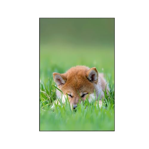 RNXAOPEN Malen Nach Zahlen Erwachsene Tier Malen Nach Zahlen, Paint by Numbers Fuchs Bastelset Erwachsene Frauen mit Pinseln und Acrylfarben für Deko Schlafzimmer, Geschenke für Frauen 60x80cm F-6 von RNXAOPEN