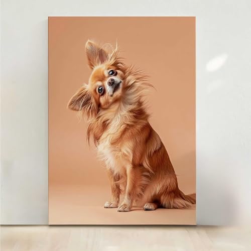 Tier Diamond Painting, 5D Hund Diamond Painting Erwachsene Diamant Malerei DIY Steine Kristall Kunst Bastelnset Erwachsene Anfänger Set, zur Zimmer Wanddeko, Geschenke für Frauen 40x50cm PjY8433 Q-1 Tier Diamond Painting, 5D Hund Diamond Painting Erwachsene Diamant Malerei DIY Steine Kristall Kunst Bastelnset Erwachsene Anfänger Set, zur Zimmer Wanddeko, Geschenke für Frauen 40x50cm PjY8433 Q-1 von RNXAOPEN