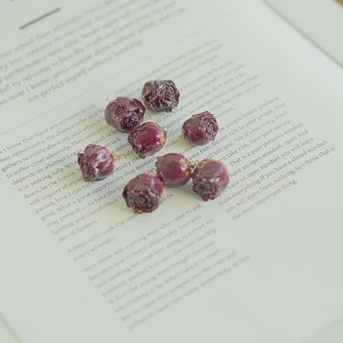 10 stücke Drop Rose DIY Ohrringe Armband Material Echte Getrocknete Blumen Kopfschmuck Zubehör Home Dekorationen von ROCILB