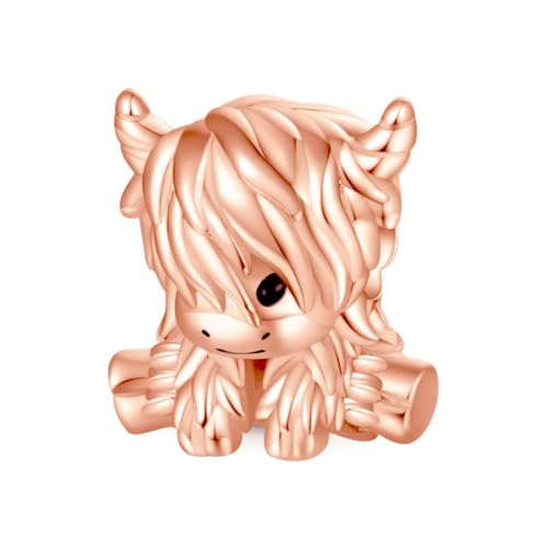 ROCILB 2 Stück Funkelnde, rosévergoldete Herz-Charm-Perlen für Armbänder und Halsketten, für DIY-Schmuck, Damenschmuck von ROCILB