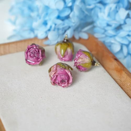 ROCILB 5 Stück Tropfkleber-Rosen, getrocknete Blumen, Rosenköpfe, DIY-Ohrringe, Eheringe, Harzkranz, Material, Zubehör, kreativ von ROCILB