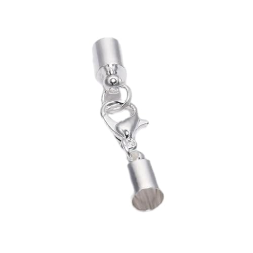 ROCKPOEM Karabinerverschlüsse für Schlüsselanhänger, Halskette, Armband, Verbindungsring, Haken, Quetschschnur, Endkappen, Verbinder für Schmuckherstellung, 20 Stück ROCKPOEM Karabinerverschlüsse für Schlüsselanhänger, Halskette, Armband, Verbindungsring, Haken, Quetschschnur, Endkappen, Verbinder für Schmuckherstellung, 20 Stück von ROCKPOEM