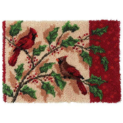 Myriad Choices Knüpfhaken-Teppich-Set, DIY-Teppichherstellungs-Set für Erwachsene und Kinder, Kuckucksteppich-Set, Kreuzstich-Set, Teppichherstellung, Kissen, Handarbeit für Anfänger, Heimdekoration von ROCKY&CHAO