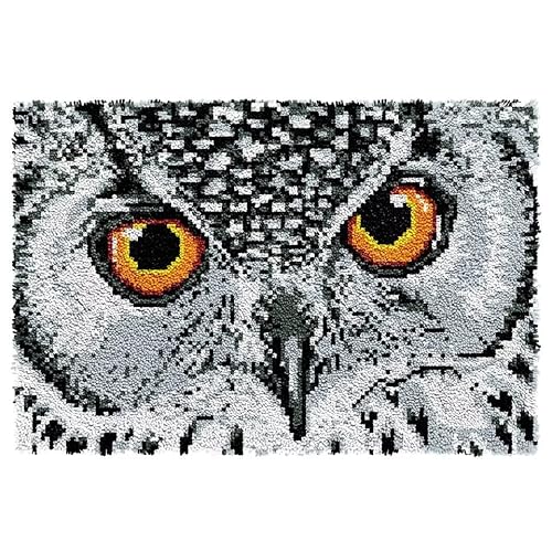 ROCKY&CHAO Teppichherstellungsset DIY-Knüpfhaken Teppich 60 x 40 cm für Kinder und Erwachsene (Weiße Eule) von ROCKY&CHAO
