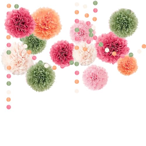 ROEOWENE 15pcs Seidenpapier Pompons Bunt Party Deko Seidenpapier Tissue Papier Pom Poms Aufhängen Dots Papier Girlande Hängenden Partydekoration für Hochzeit,Babyparty,Geburtstag,Fiesta-Rosa Grün von ROEOWENE