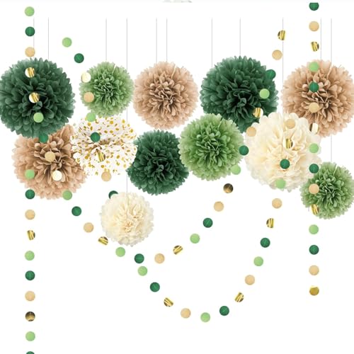 ROEOWENE 15pcs Seidenpapier Pompons Bunt Party Deko Seidenpapier Tissue Papier Pom Poms Aufhängen Dots Papier Girlande Hängenden Partydekoration für Hochzeit,Babyparty,Geburtstag,Gartenparty-Grün von ROEOWENE
