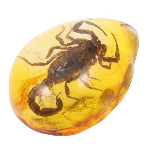 ROMISBABA Anhänger aus Bienenwachs Bernstein Anhänger Charme -Exemplar Insekten Bernstein Insekt-Bernstein-Ornament Bernsteinanhänger zur Schmuckherstellung Insektenexemplar ROMISBABA Anhänger aus Bienenwachs Bernstein Anhänger Charme -Exemplar Insekten Bernstein Insekt-Bernstein-Ornament Bernsteinanhänger zur Schmuckherstellung Insektenexemplar von ROMISBABA