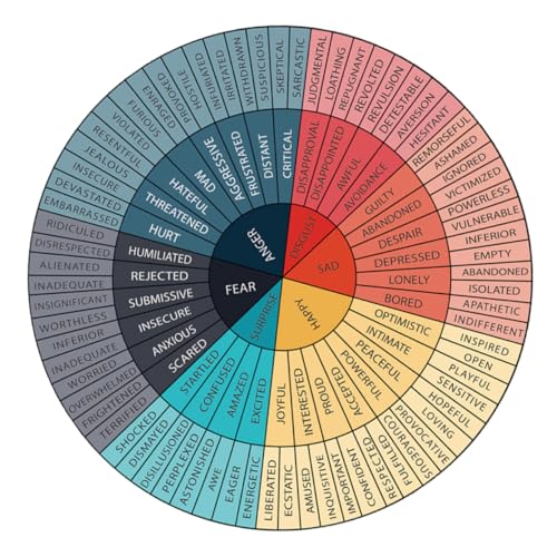ROMISBABA Vielseitige Emotionsaufkleber Gefühlsraddiagramm Für Klassenzimmer Schlafzimmer Büro Wandkunst von ROMISBABA