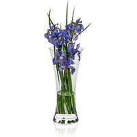 RONA Vase Ambiente transparent von RONA