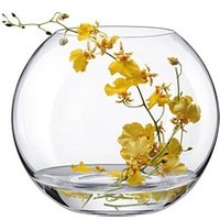 RONA Vase Ambiente transparent RONA Vase Ambiente transparent von RONA