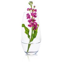 RONA Vase Ambiente transparent von RONA