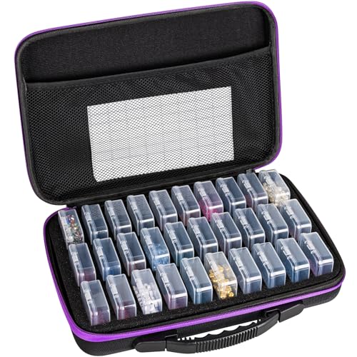 RONGLAIJIN Aufbewahrungsbox Klein, Diamond Painting Aufbewahrungsboxen, 30 Teilige Rectangular Perlen Aufbewahrungsbox mit Klappdeckel für Perlen Samen Bastelarbeiten kleine Gegenstände (1 Stück) von RONGLAIJIN