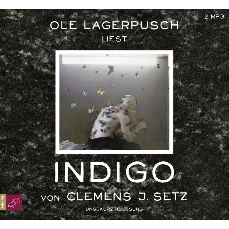 Indigo,2 Audio-Cd, 2 Mp3 - Clemens J. Setz (Hörbuch) von ROOF MUSIC