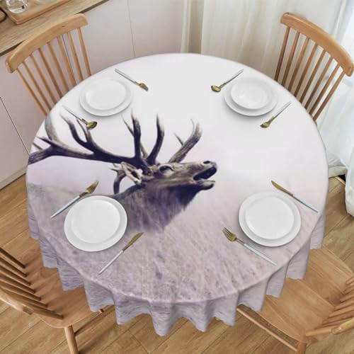 ROOZEE Runde Tischdecke mit wildem Hirsch, bedruckt, 152,4 cm, wasserdicht und knitterfrei, perfekt für Mahlzeiten im Innen- und Außenbereich von ROOZEE