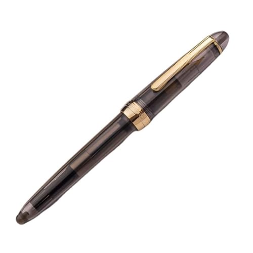 RORFFK Füllfederhalter mit goldenem Clip, 0,5 mm, für Studenten, Kalligraphie, Praxis, Tintenstifte, Schulbedarf, Büroprodukt, Schreibwaren (transparentes Schwarz) von RORFFK