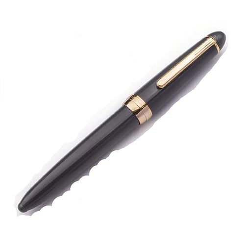 RORFFK Füllfederhalter mit goldenem Clip, transparent, 0,5 mm, für Studenten, Kalligraphie, Praxis, Tintenstifte, Schulbedarf, Büroprodukt, Schreibwaren (dunkelgrau) von RORFFK