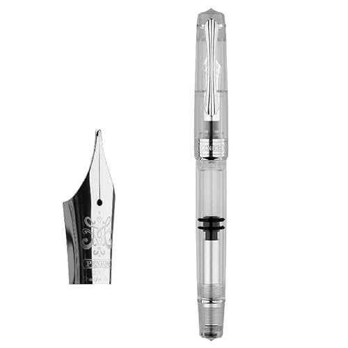 RORFFK Kolben Sleek Füllfederhalter-Klinge/runde Feder, Tintenabsorbierend, große Kapazität, transparentes Acryl, Business-Schreiber, Geschenkstift (B) von RORFFK