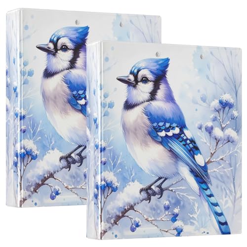 Blue Jay Kunstdruck-Drei-Ringbuch, flexible D-Ringbücher mit Taschen, 3-Ringbücher für Schule, Uni, Büro (2 Stück) von RPLIFE
