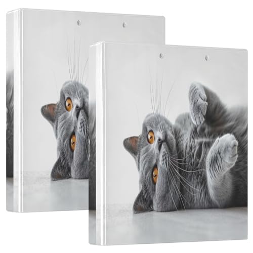 D-Ringbuch mit 3 Ringen, graue Katze, mit Klemmbrett, große 3-Ringbücher für Schule, Uni, Büro, 2 Stück von RPLIFE