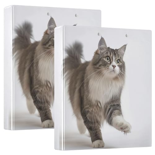 Niedliche Katzen-Ragdoll-Ringbuch, D-Ringbuch mit Klemmbrett, 3 große Ordner für Schule, Uni, Büro (2 Stück) von RPLIFE