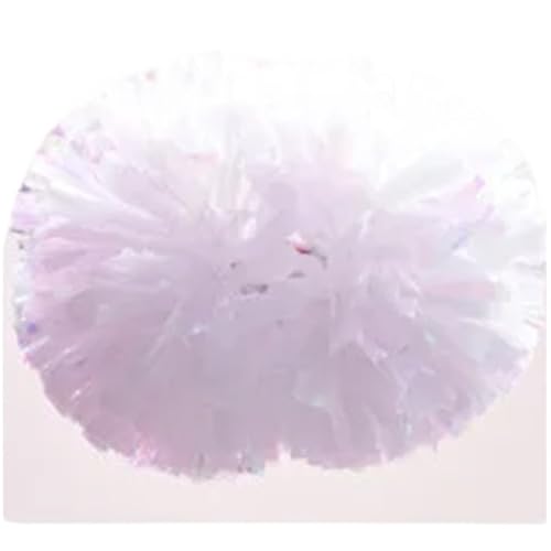RRYPBOVG Cheerleader Pompons 10 stück Regenbogen Kunststoff Cheerleader Pom Ppom Mädchen Cheer Tanken Requisiten Cheerleading Pompon Pompons Baton Hhandle NonFading(White) von RRYPBOVG