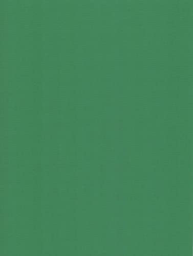 Leinen Kartenpapier-A4-Cardstock - 29,7x21cm - 240 Gramm - Karton (Fern Green, 20) von RS C&C