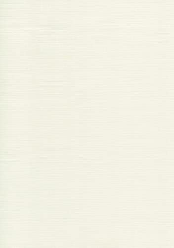 Leinen Kartenpapier-A4-Cardstock - 29,7x21cm - 240 Gramm - Karton (Hellgrün, 20) von RS C&C