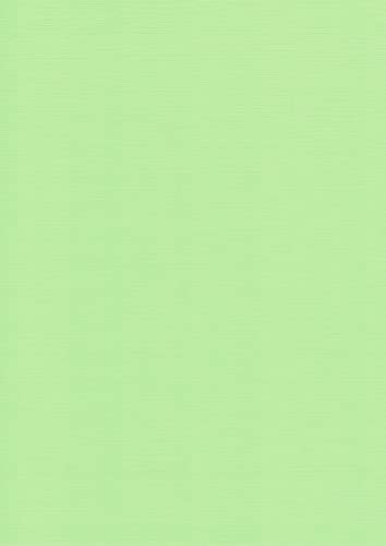 Leinen Kartenpapier-A4-Cardstock - 29,7x21cm - 240 Gramm - Karton (Mailgrün, 20) von RS C&C