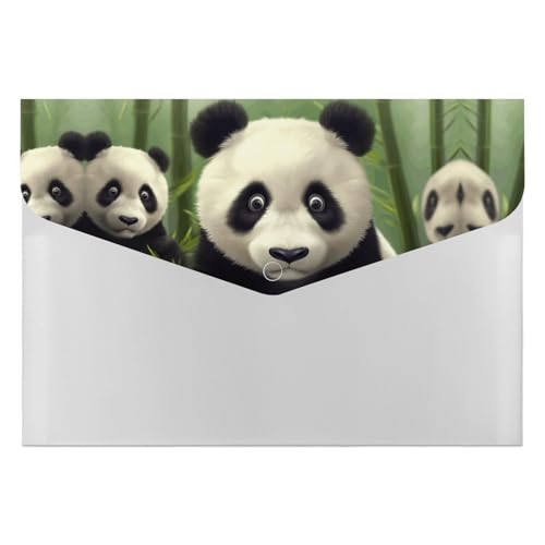 Aktenordner, Kunststoff, niedlicher Panda-Druck, Aktenordner, Briefgröße, tragbare Ordner, 6 Taschen, Aktenordner für Zuhause und Büro Aktenordner, Kunststoff, niedlicher Panda-Druck, Aktenordner, Briefgröße, tragbare Ordner, 6 Taschen, Aktenordner für Zuhause und Büro von RTBKLYQ