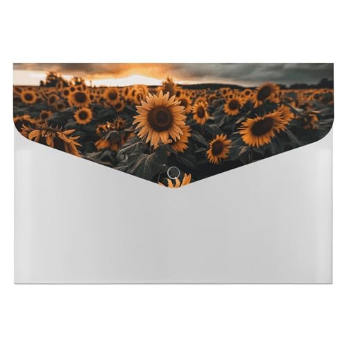 Aktenordner aus Kunststoff, mit Wolkenbild, bedruckt, Briefgröße, tragbare Ordner, 6 Fächer, Organizer für Zuhause und Büro Aktenordner aus Kunststoff, mit Wolkenbild, bedruckt, Briefgröße, tragbare Ordner, 6 Fächer, Organizer für Zuhause und Büro von RTBKLYQ