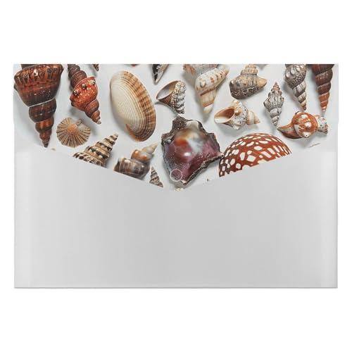 Aktenordner aus Kunststoff, verschiedene Muschelbilder, bedruckte Aktenordner, Briefgröße, tragbare Ordner, 6 Fächer, Organizer für Zuhause und Büro von RTBKLYQ