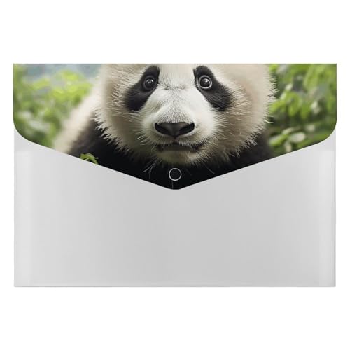 Dateiordner Kunststoff Ordner Nette Panda Bär Gedruckt Dateiordner Letter Größe Tragbare Ordner 6 Tasche Archiveranstalter für Home Office Dateiordner Kunststoff Ordner Nette Panda Bär Gedruckt Dateiordner Letter Größe Tragbare Ordner 6 Tasche Archiveranstalter für Home Office von RTBKLYQ
