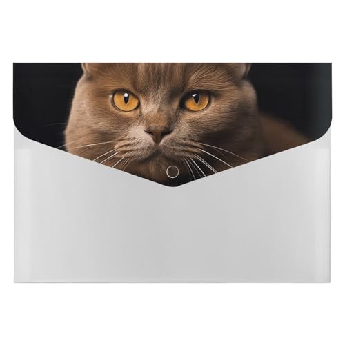 Dokumentenmappen, Kunststoff, braune Katze, bedruckt, Aktenordner, Briefgröße, tragbare Ordner, 6 Fächer, Organizer für Zuhause und Büro von RTBKLYQ