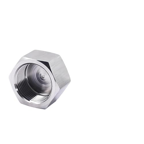 1PC 1/8" 1/4" 3/8" 1/2" 3/4" 1" BSP NPT Metrisches Innengewinde 304 Edelstahl Sechskant Endkappe Stecker Rohrverschraubung(M10x1) von RTKYYZ